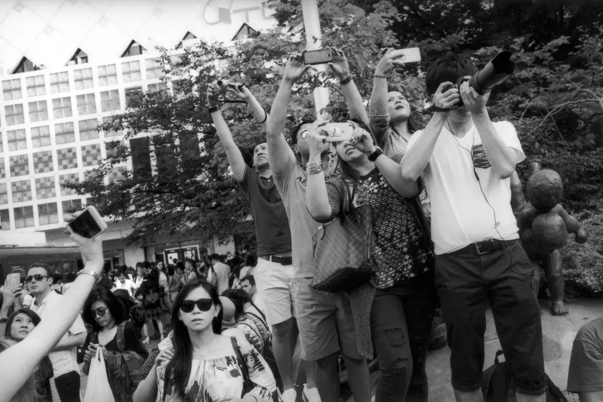 Group of people photographing something