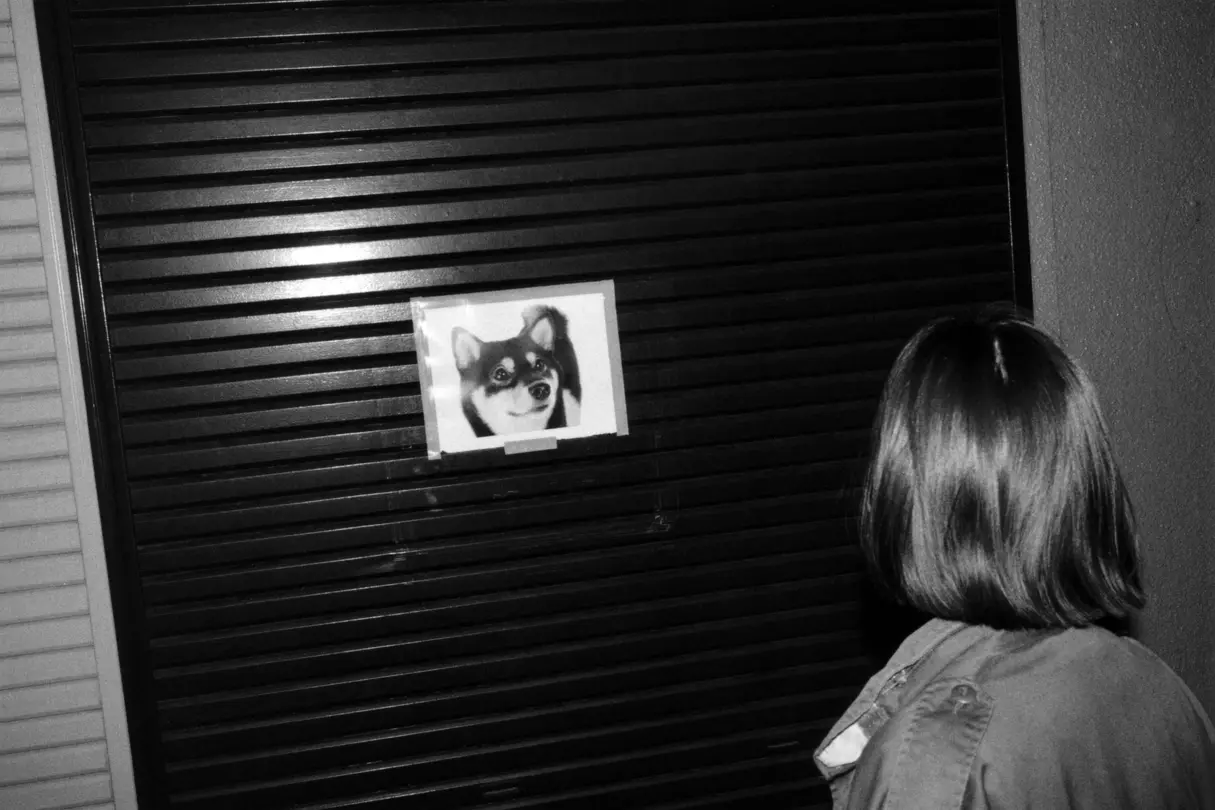 Man photographs woman from behind with his mobile phone in front of a pond.  Women photograph small white dog with their mobile phones in front of a bush.  Group of people photographing something.  Two Japanese women, one with a camera in her hand, the other holding a mask in front of her face.