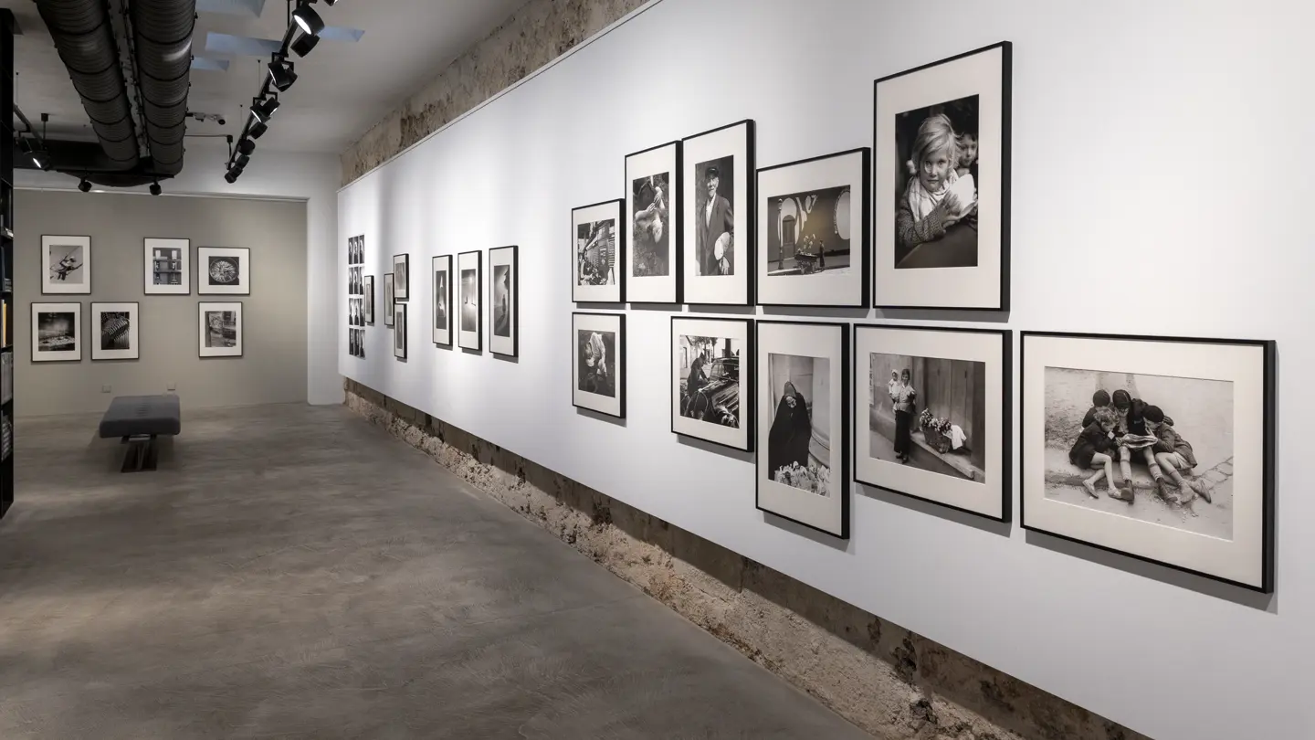Picture of the exhibition from Fred Stein