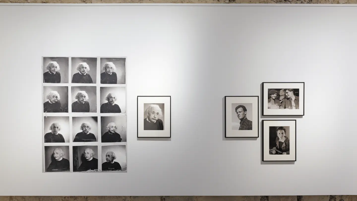 Picture of the exhibition from Fred Stein
