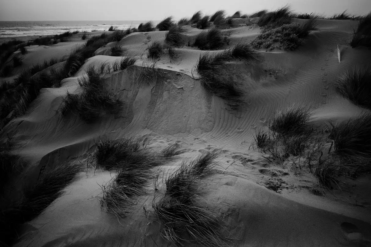 desert monochrom photography