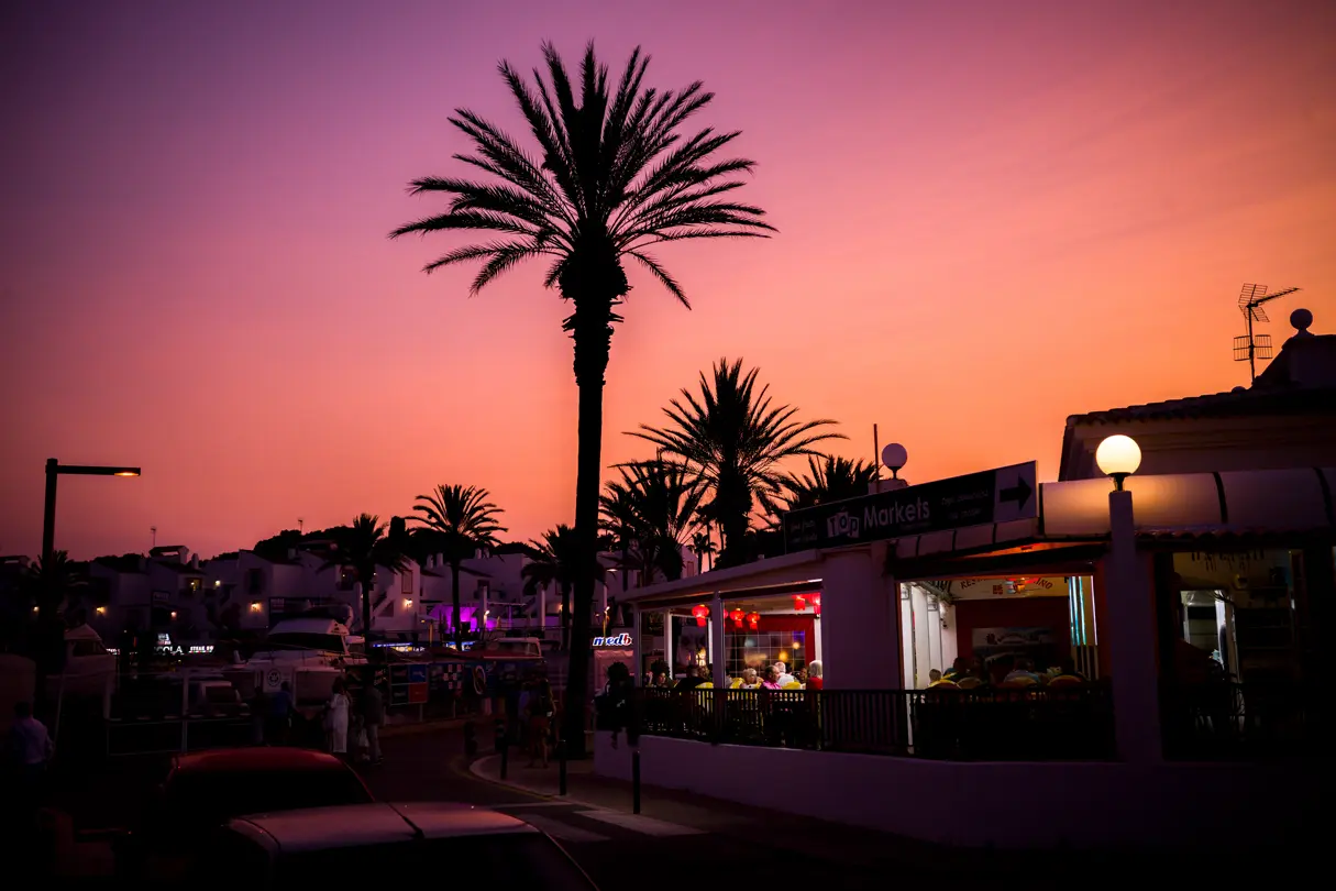 Purple red sunset sky with palm trees