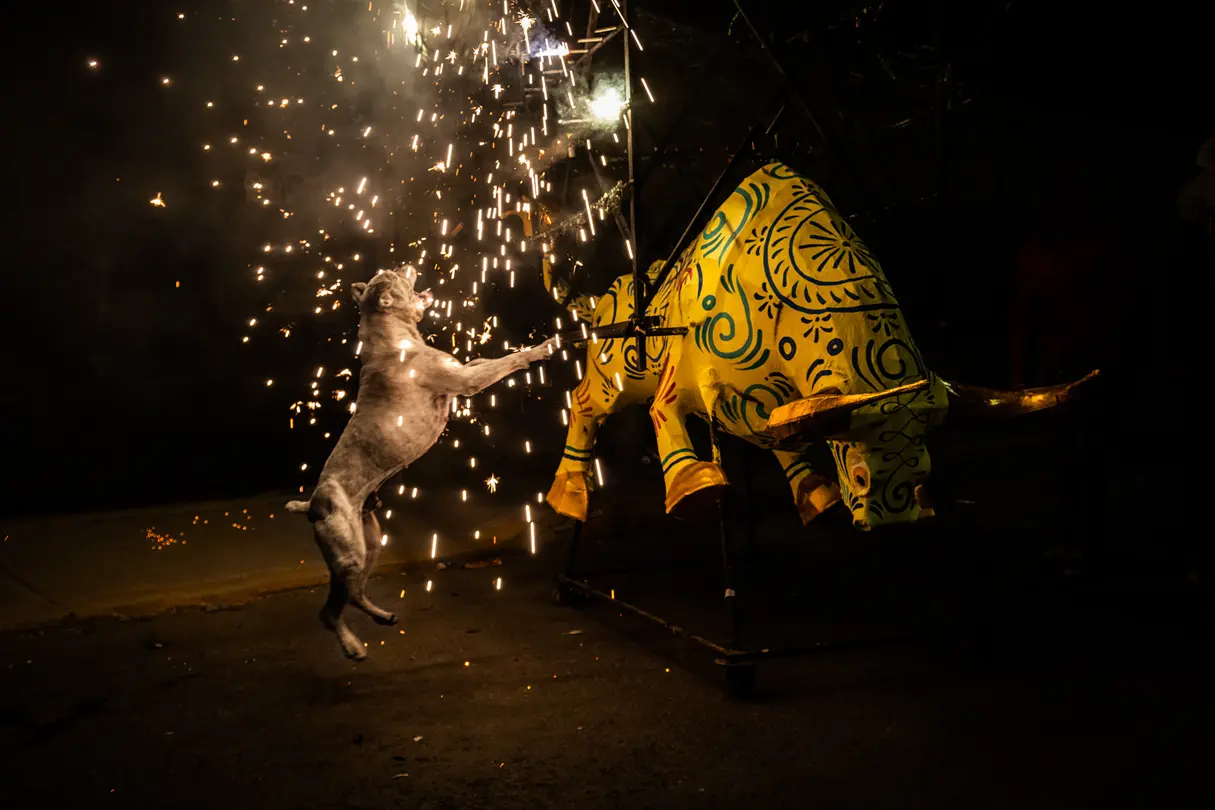 Antonio Flores Leica Latin America Awards