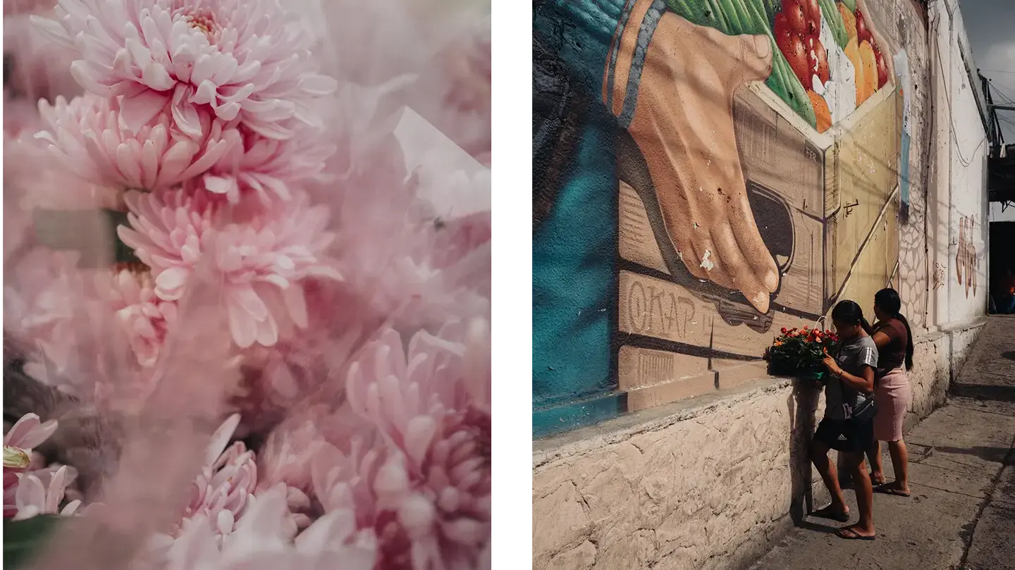 colour images of market in mexico.