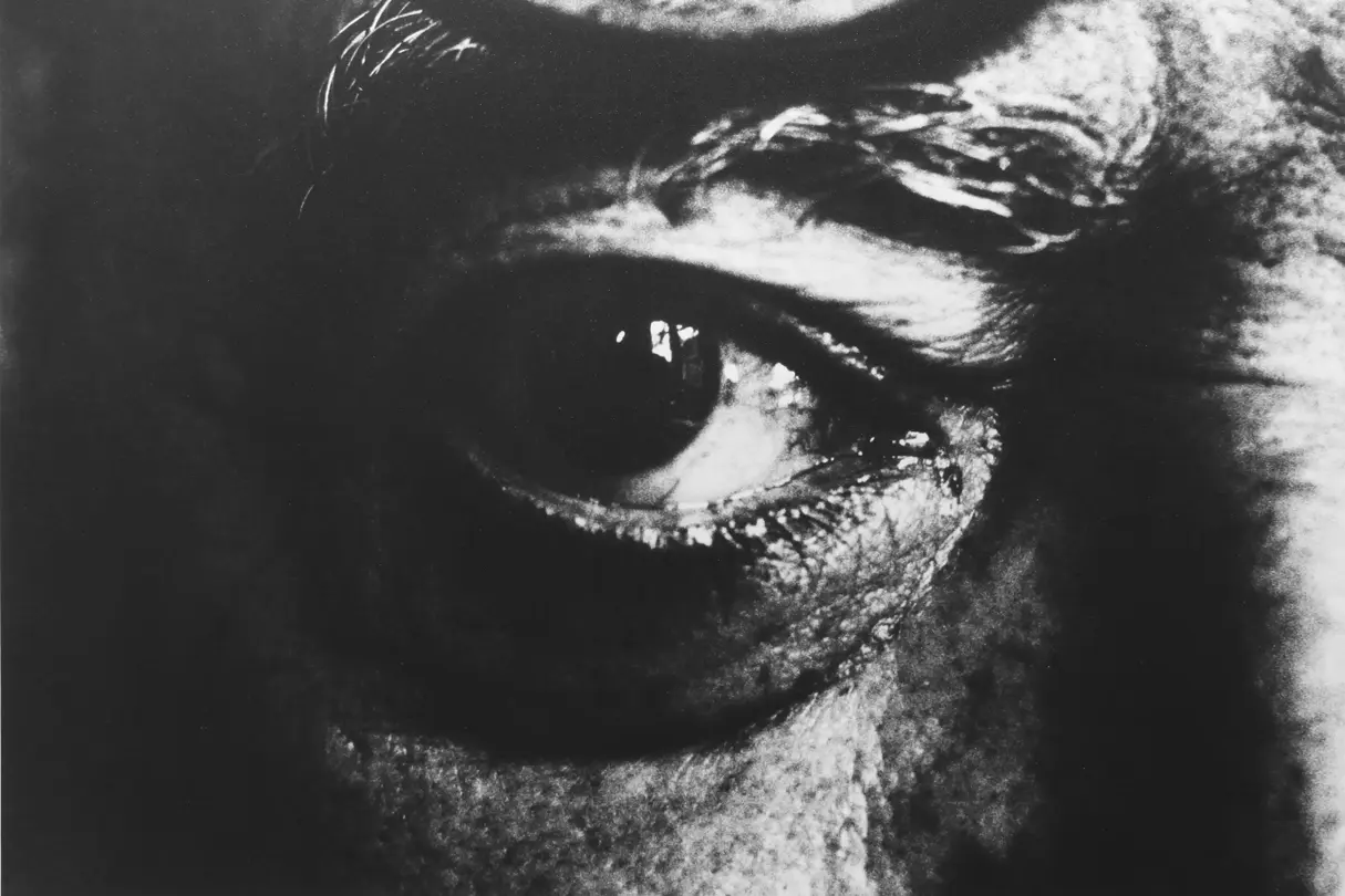 Eyde Close-Up of an old Person 