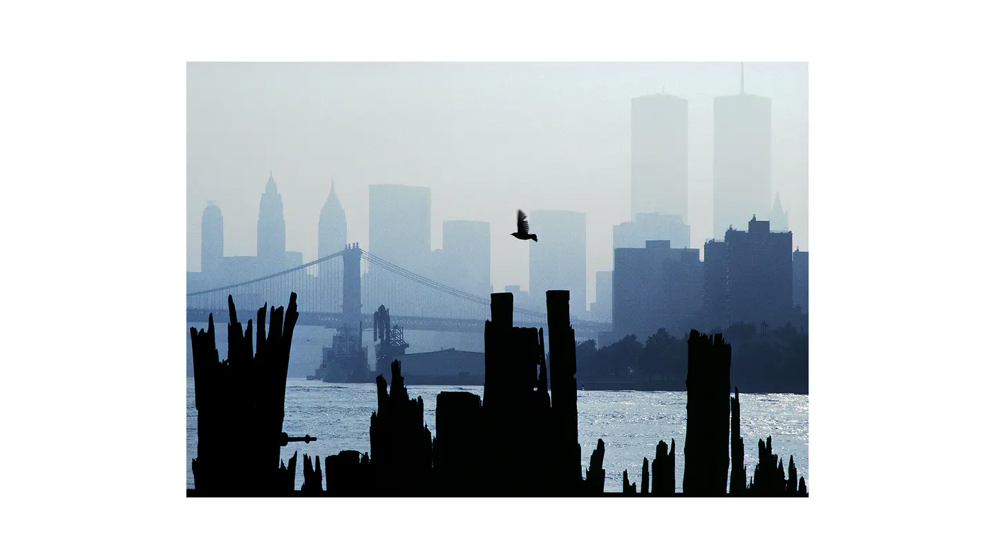 Thomas Hoepker NYC Bird in front of World Trade Center