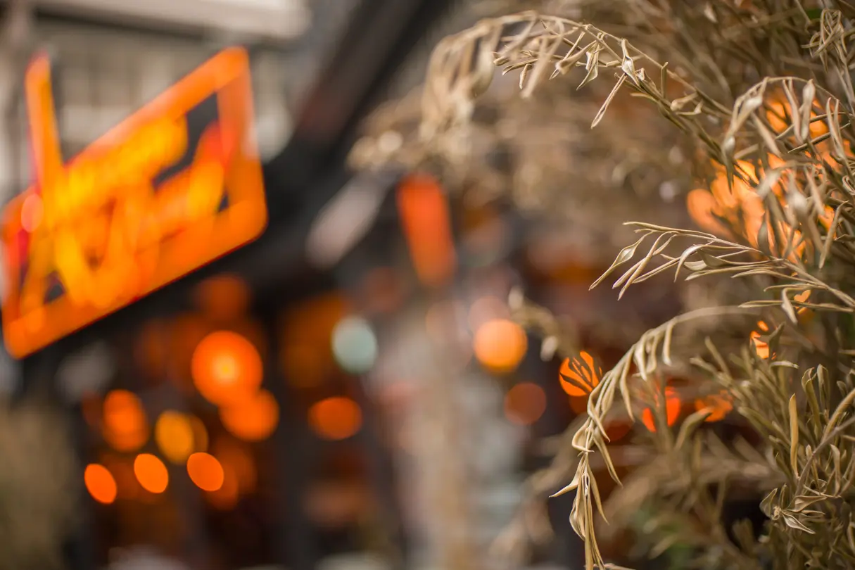 Focus on grass with blurred, glowing signs in the background