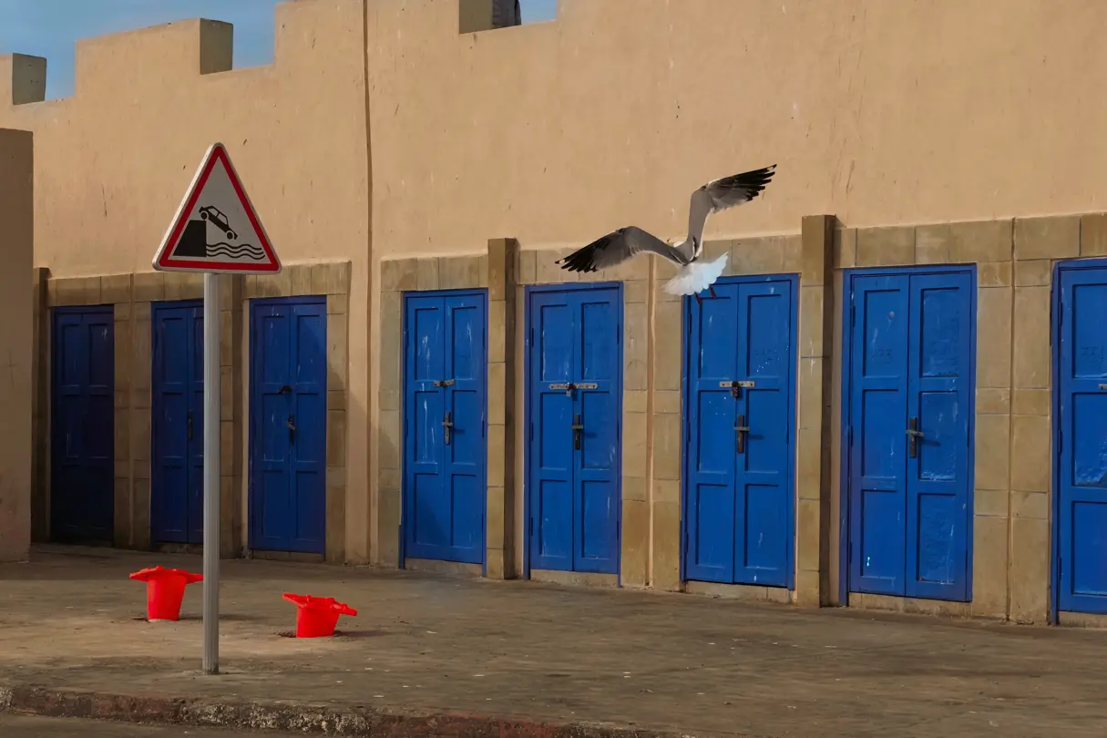 Seagull flying in front of a building with many blue doors