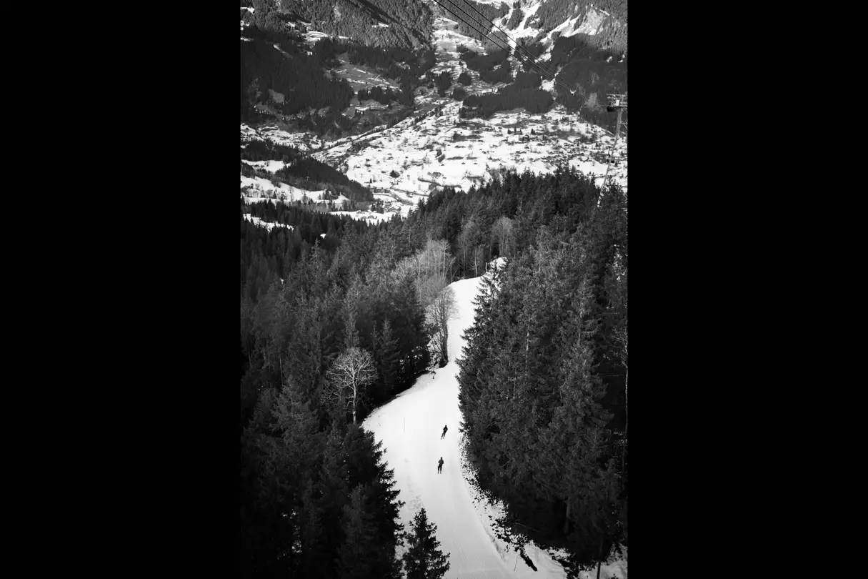 Black and white photo about snowy landscape
