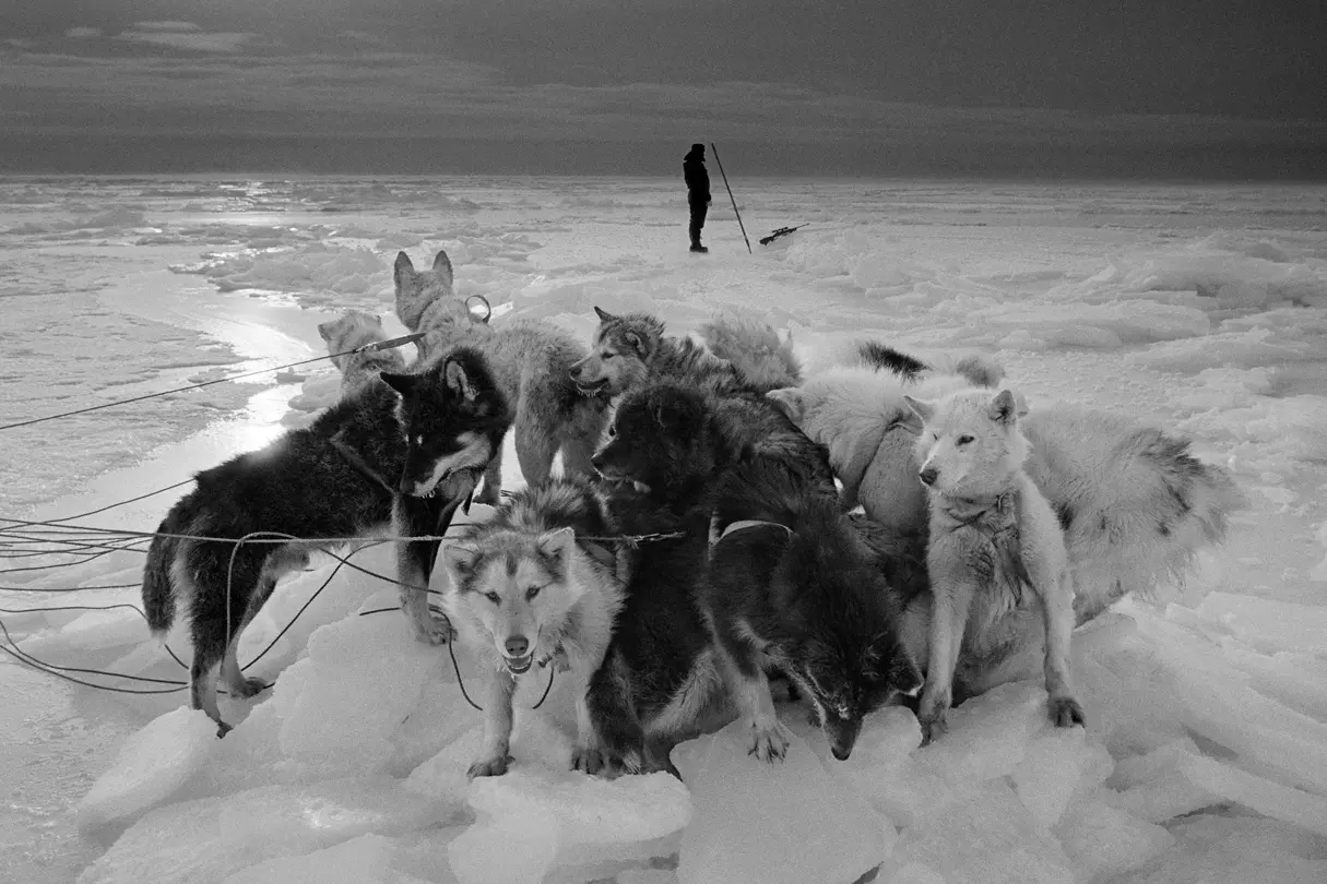 Fjord Greenland hunter on the sea ice