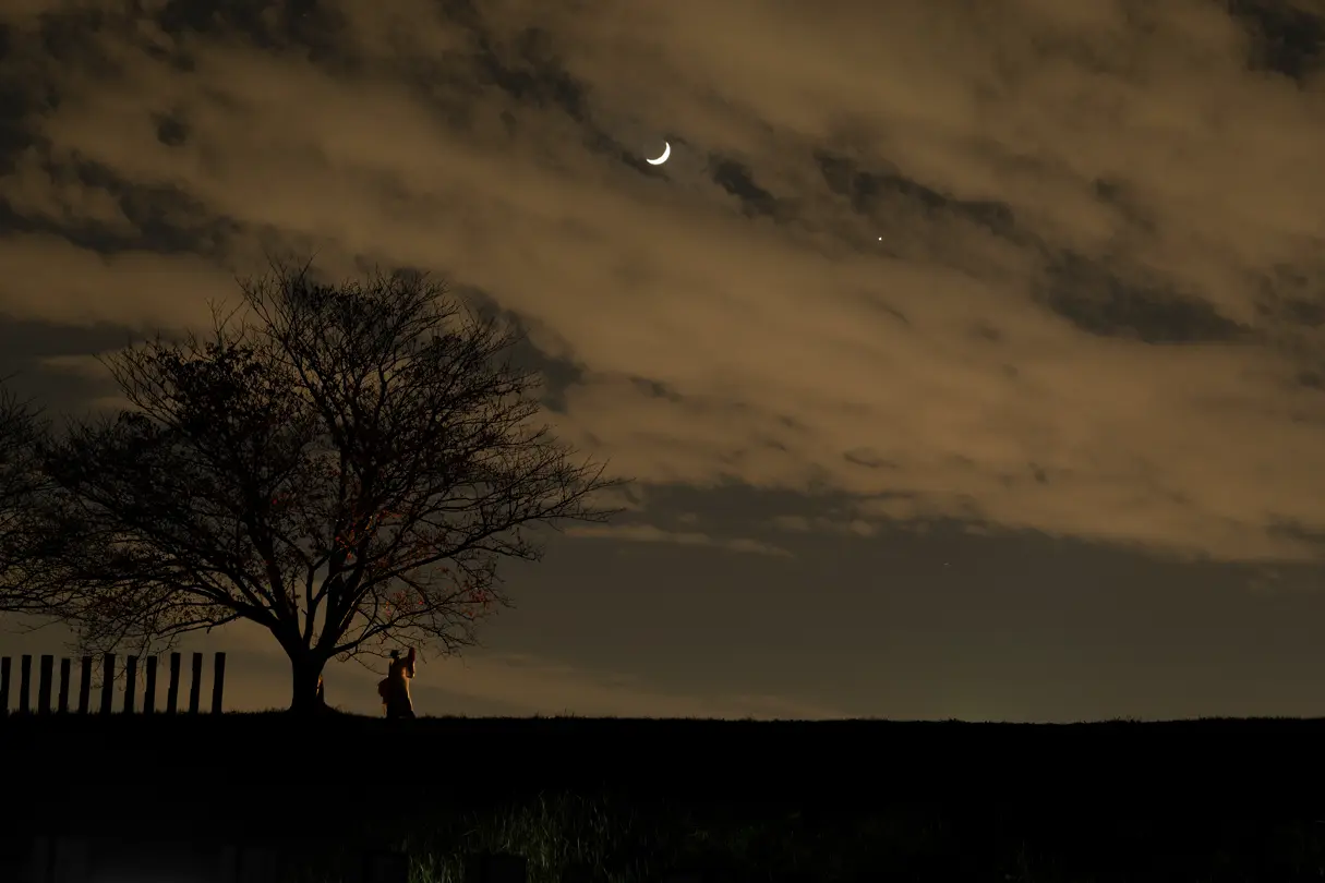 A woman stands under a tree in a lonely meadow at night