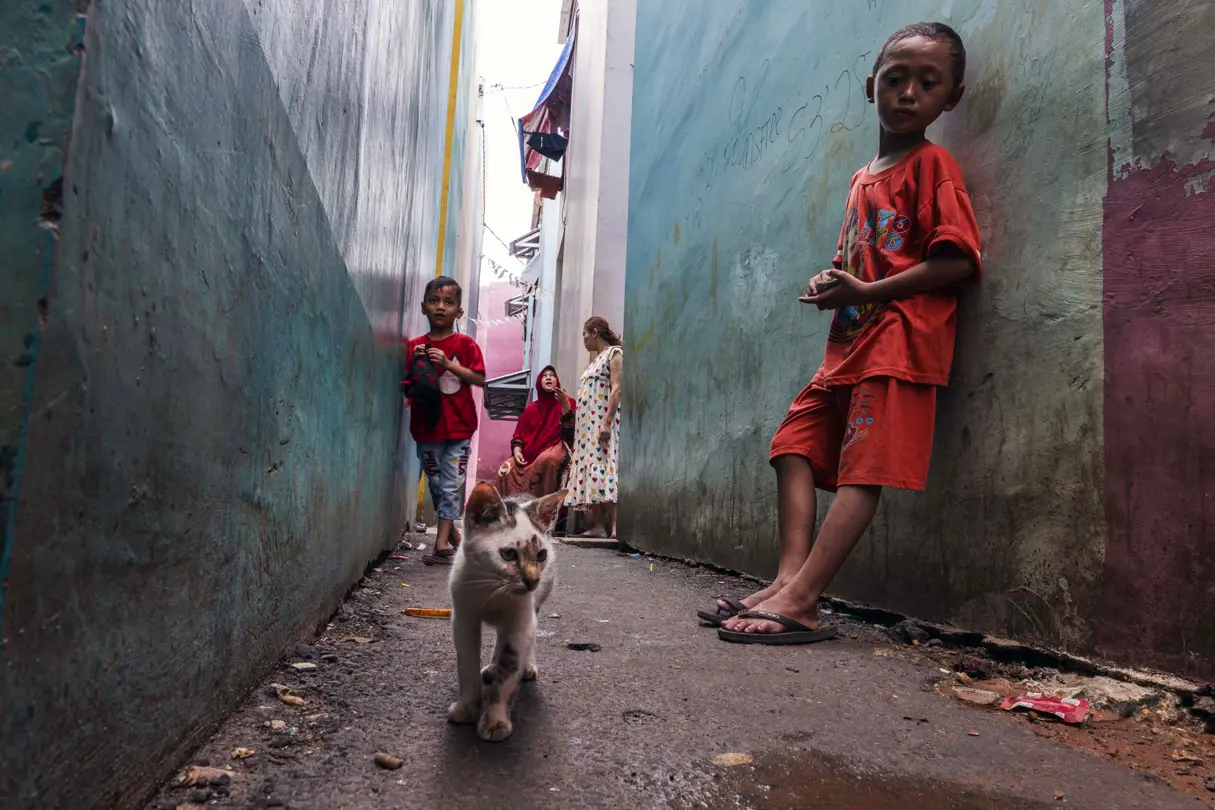 Two poor children in a narrow alley with a cat 
