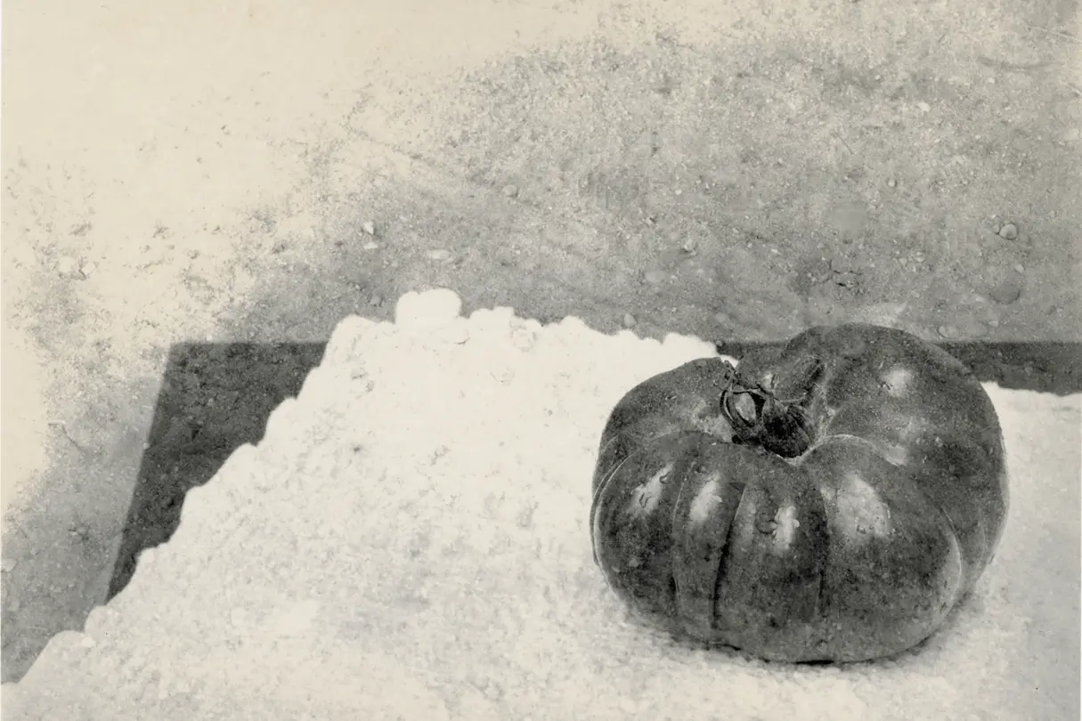 Tomate sur une table