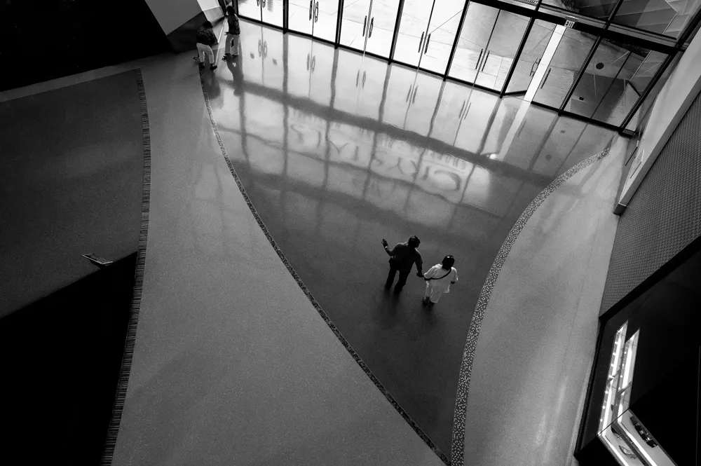 bird eye view b&w