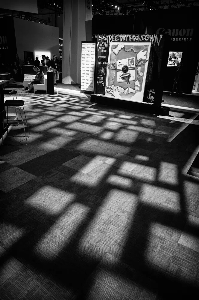window shadows b&w