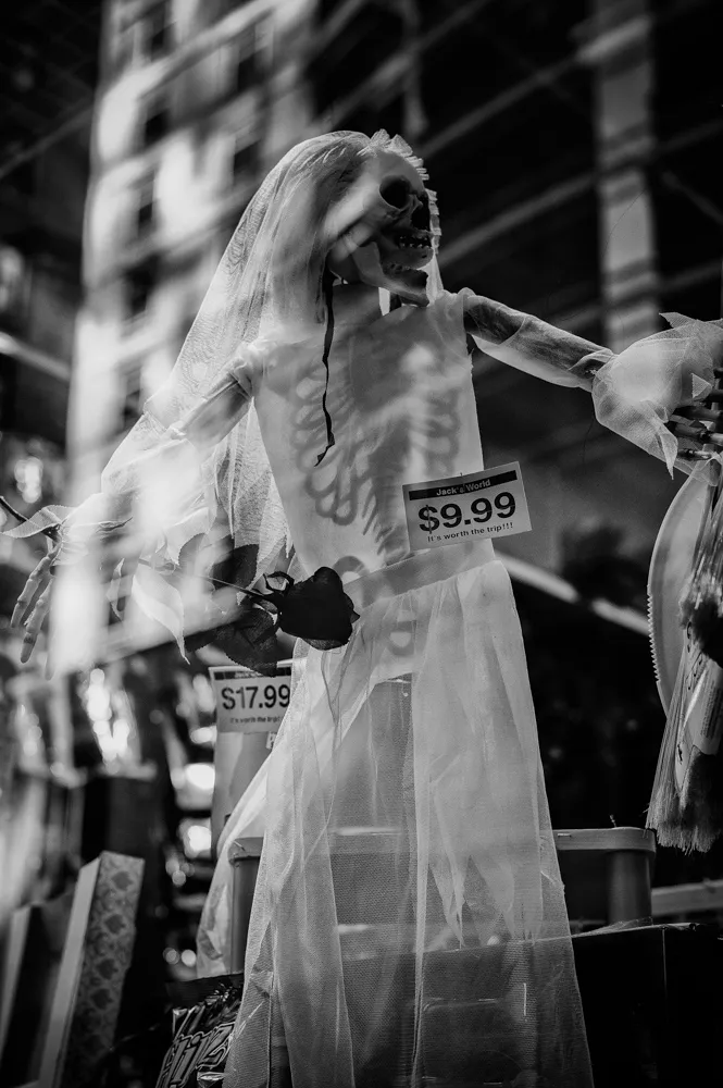 window front fake skeletons b&w