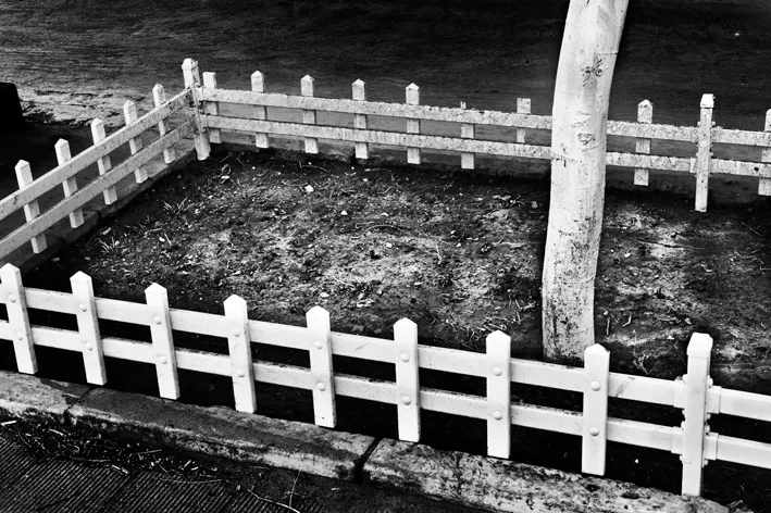 fence b&w