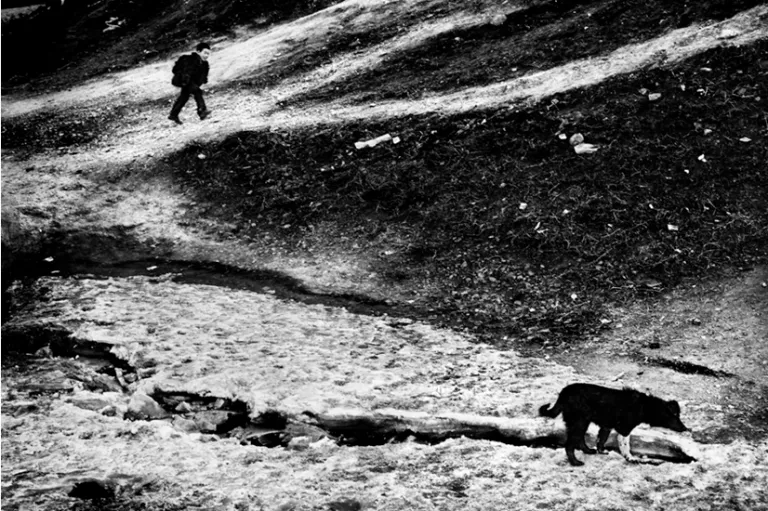 walking with dog b&w