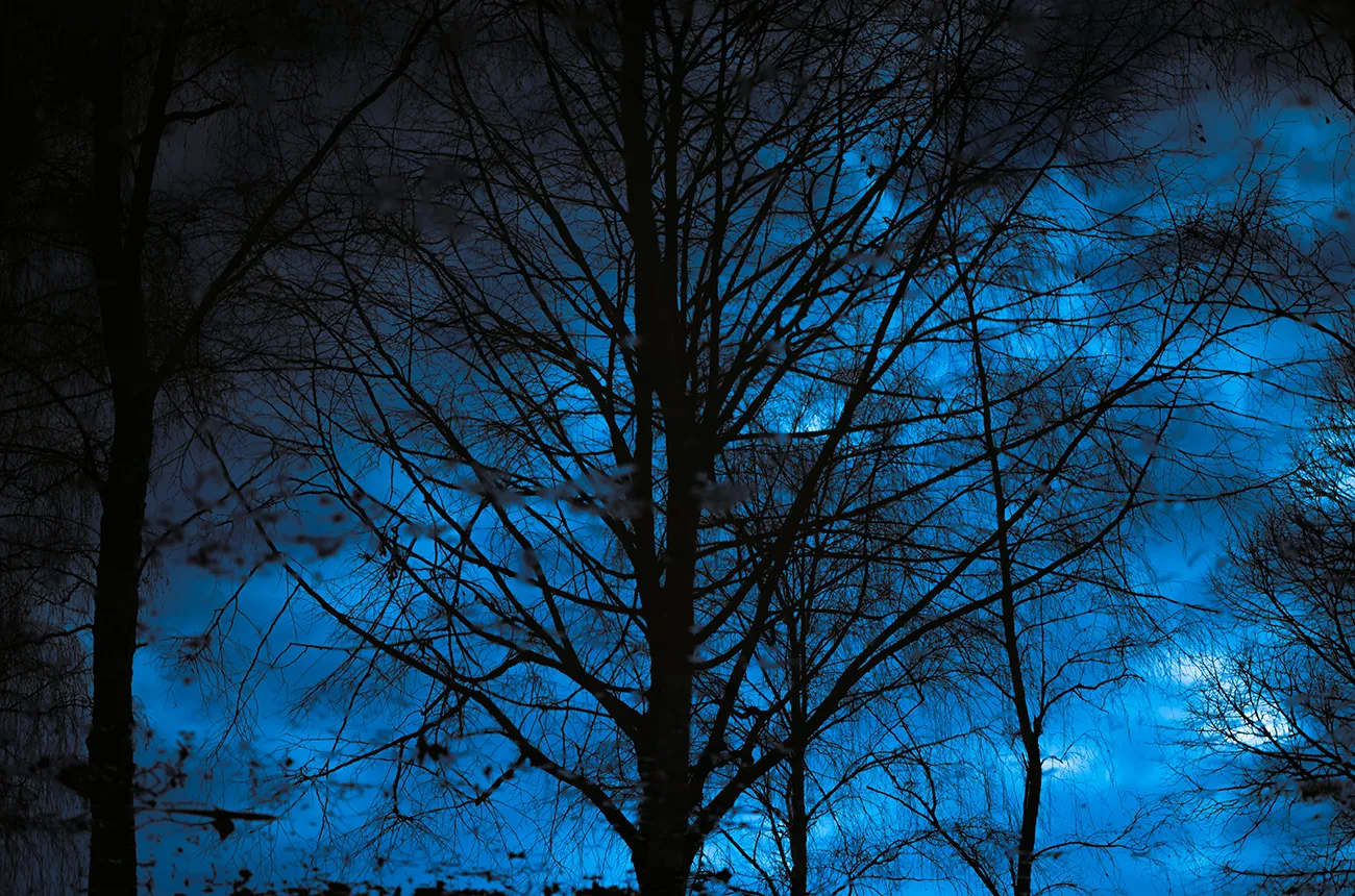 blue night sky
