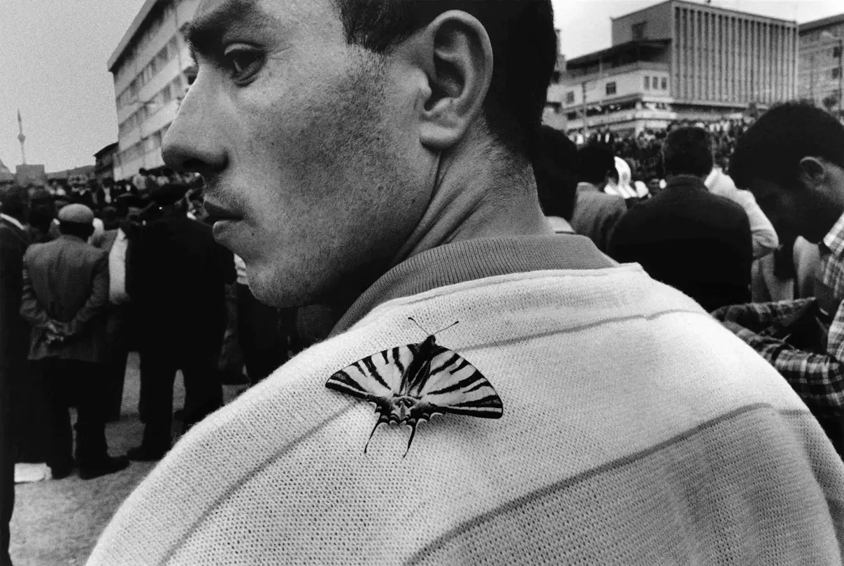 moth on shoulder b&w