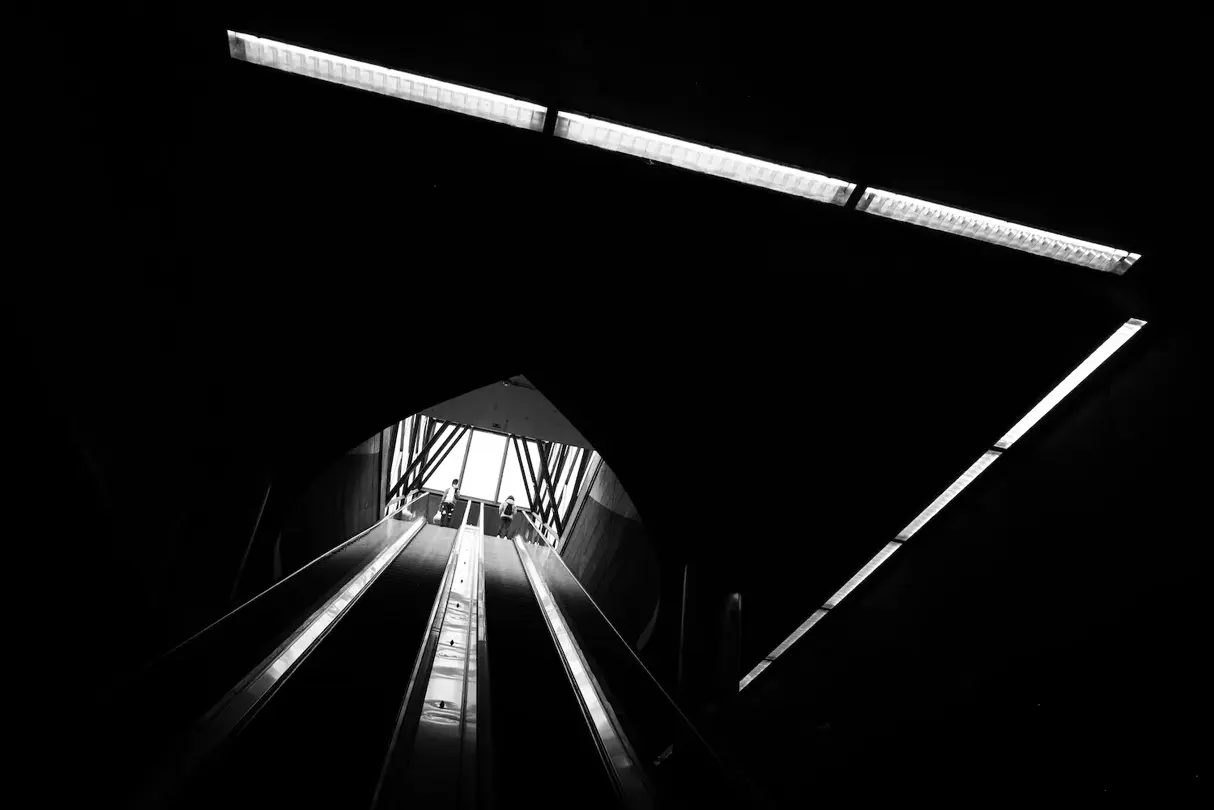 shapes and lines b&w