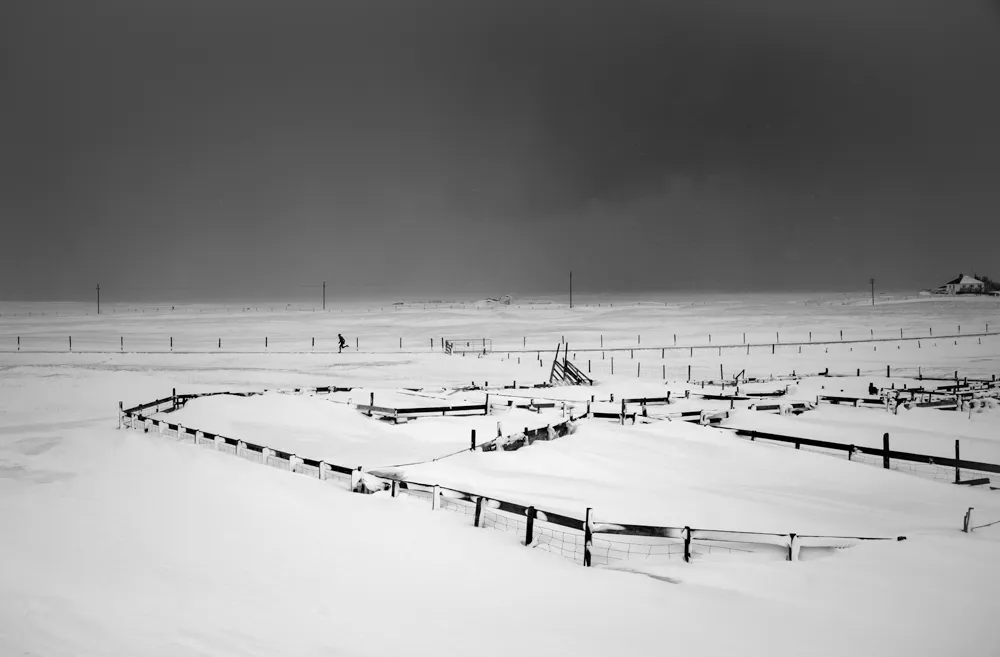 snowy fences b&w
