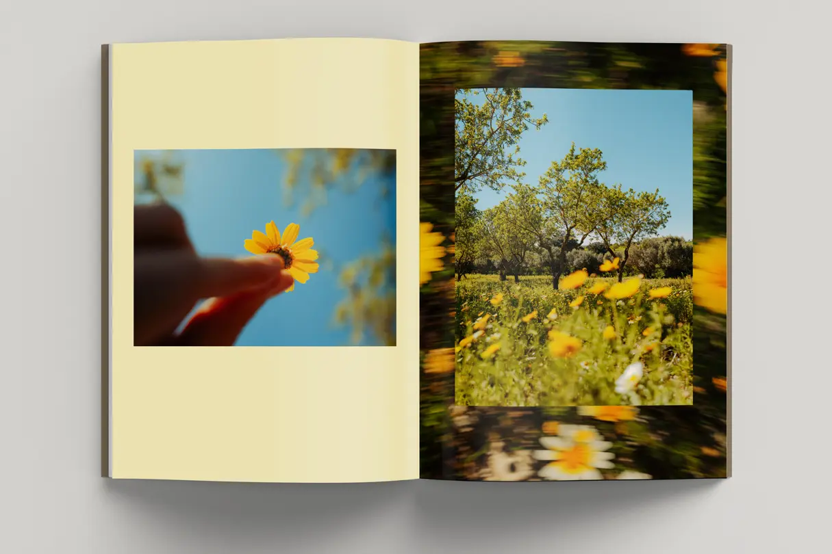 Photobook Fernweh Photos of yellow flowers