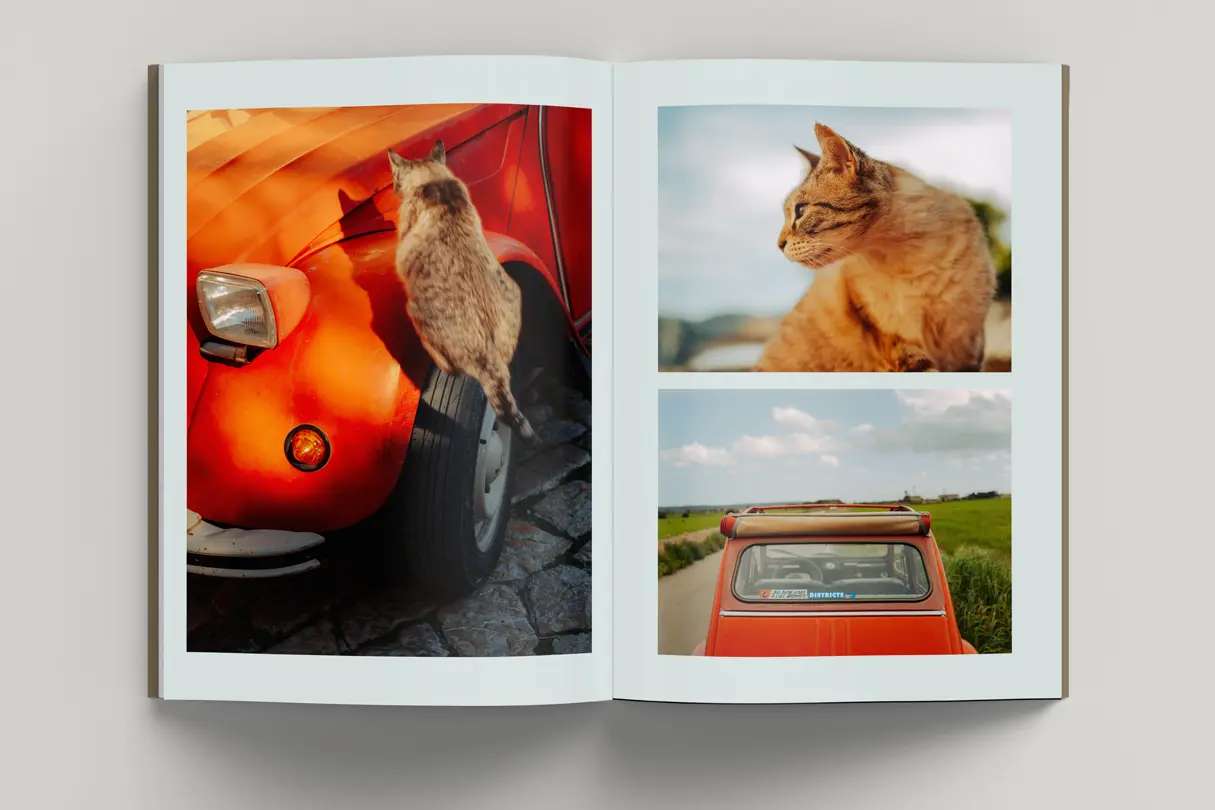 Photobook Fernweh Photos of the red car and a cat