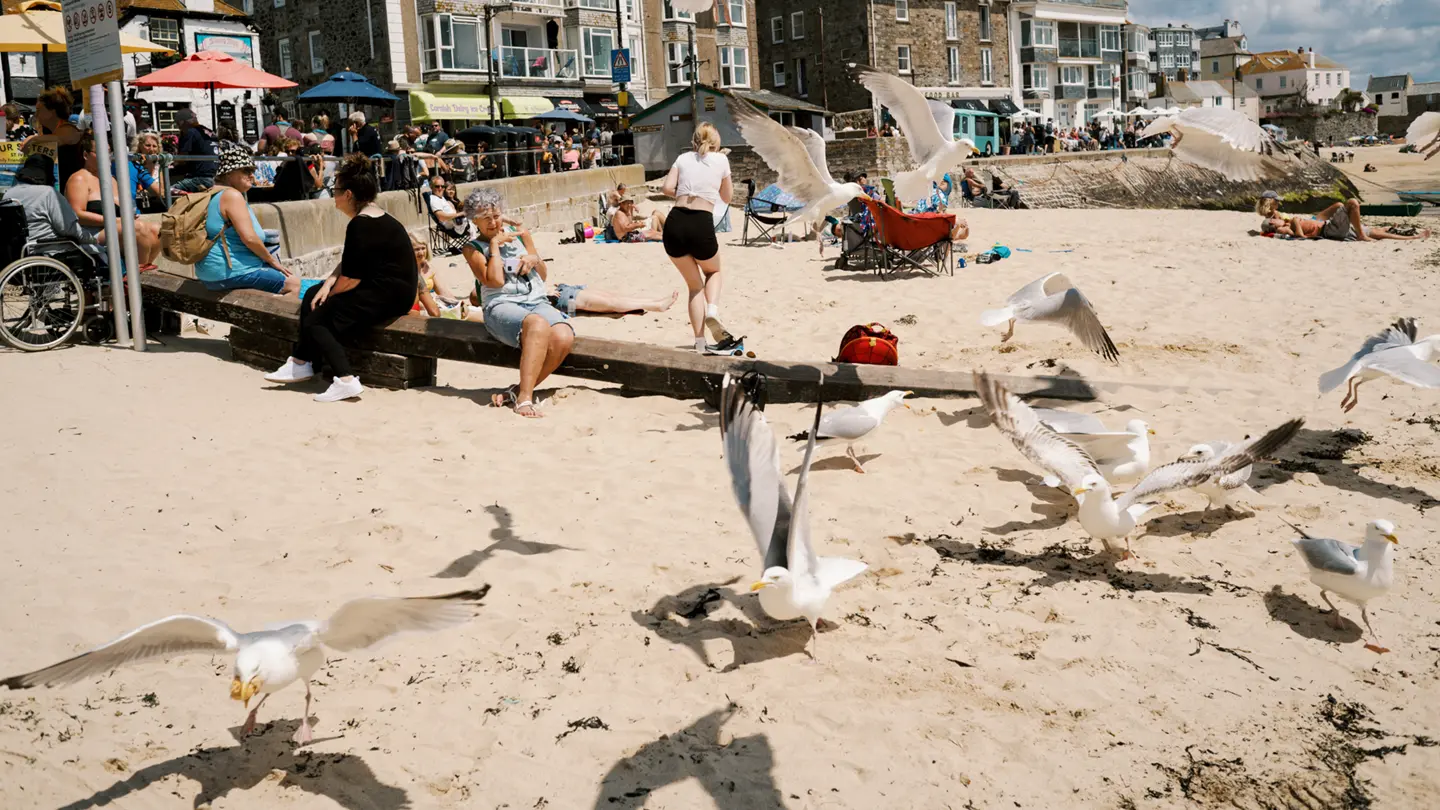 Colour image of a British sea side with people reacting to seagulls