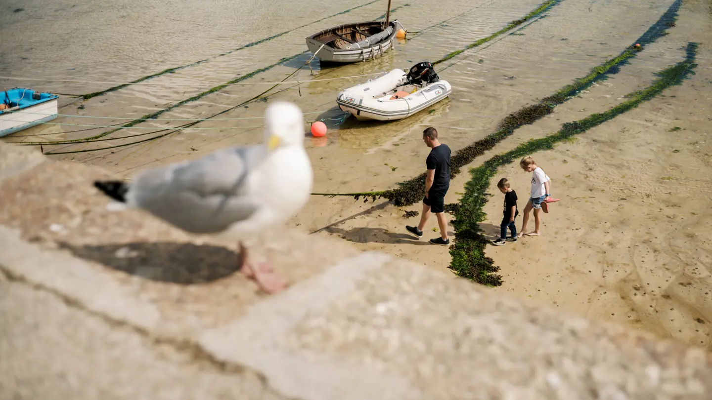 Colour image of the seaside with a seagull on the foreground