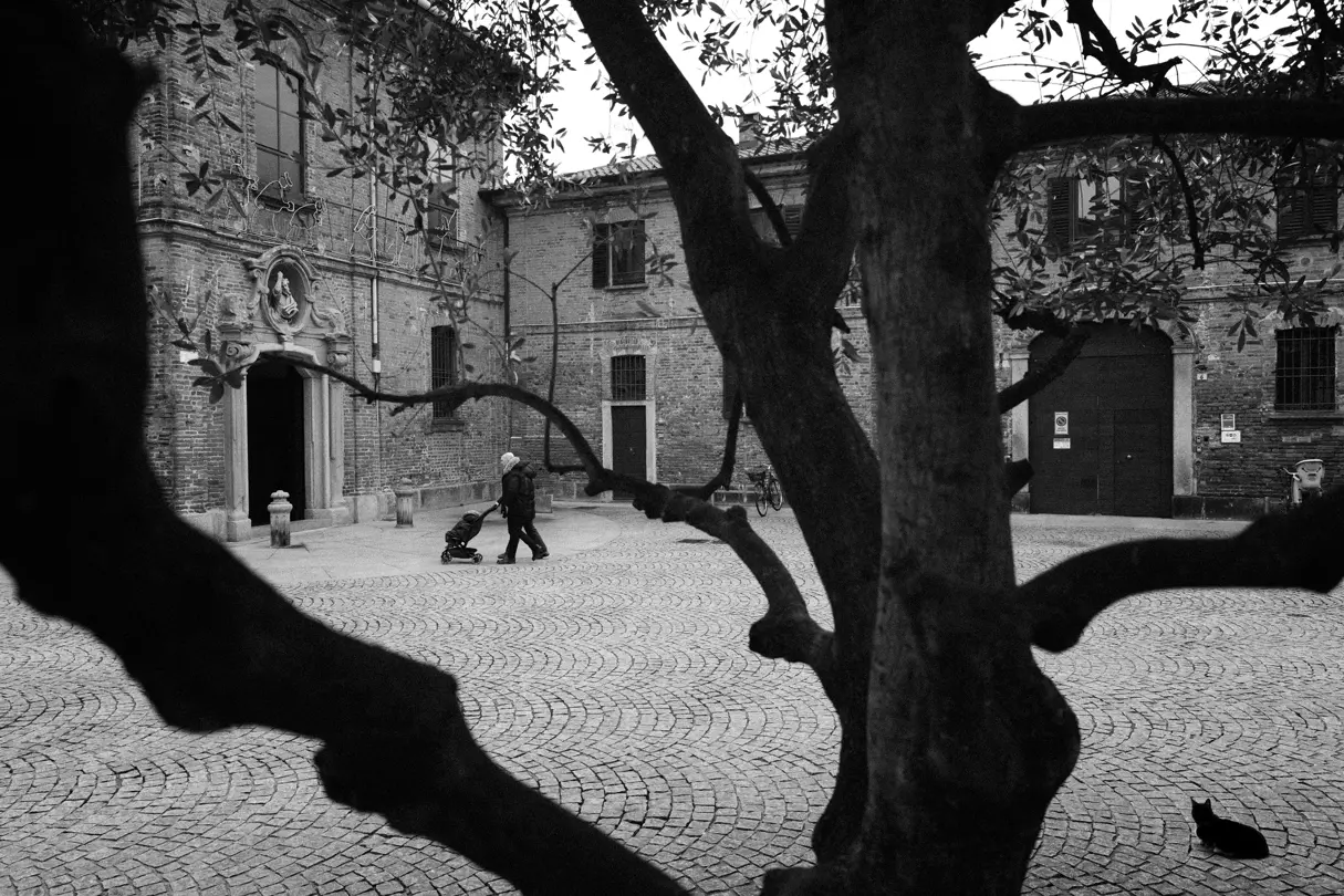 black and white photograph, taken from a quiet square, a couple pushing a pram, large tree in the foreground