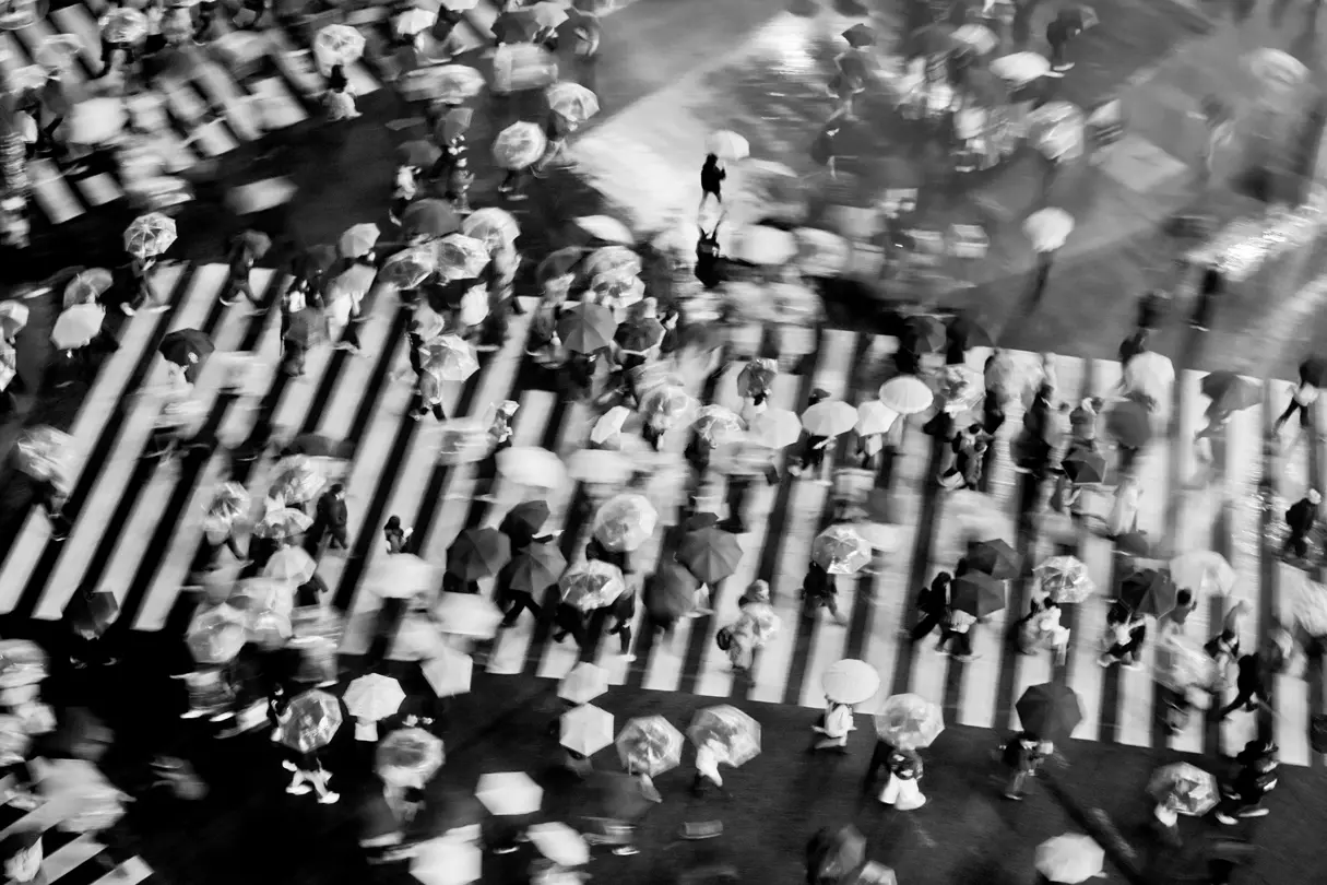 Crowds carrying umbrellas cross a rain-soaked Tokyo intersection, viewed from above in monochrome.