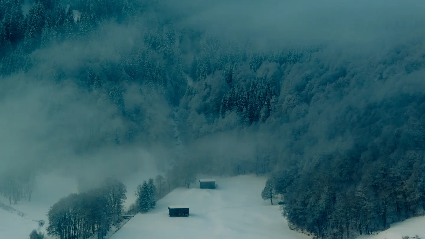 Misty winter forest with snow-covered cabins in a secluded valley.