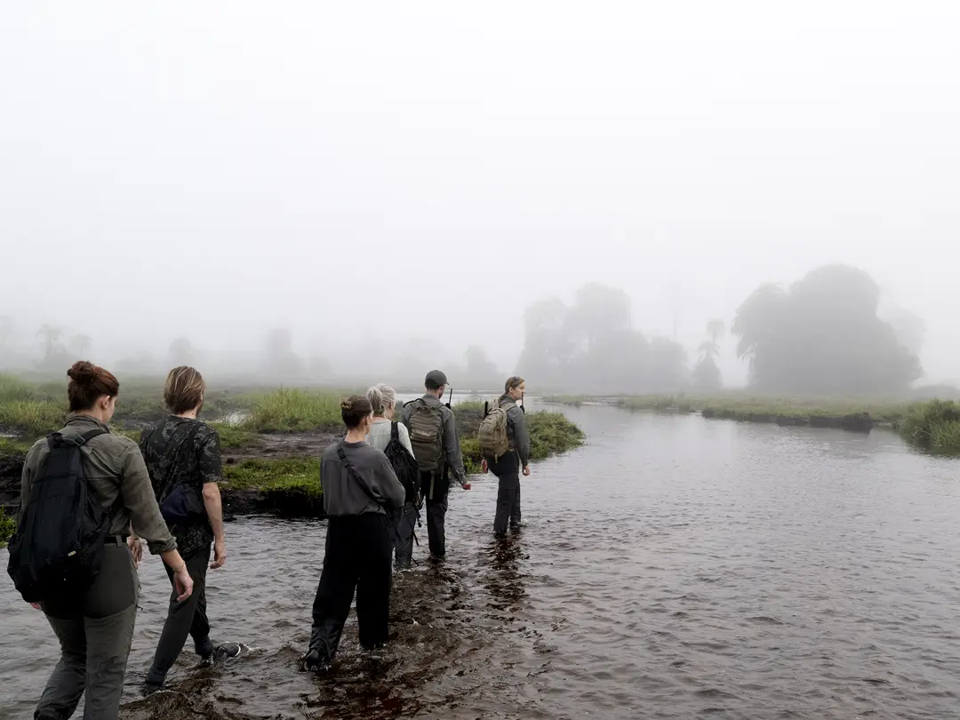Expedition team crossing a mist-covered wetland at dawn, exploring remote rainforest habitats and wildlife conservation areas.