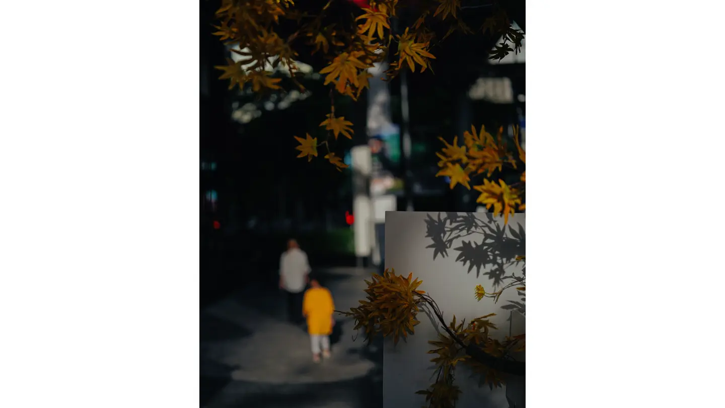 Des feuilles d'arbres jaunes au premier plan, avec au loin une personne portant un t-shirt jaune
