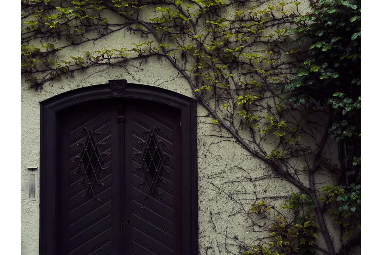 Historic doorway framed by climbing ivy, highlighting architectural details and natural textures in urban photography.