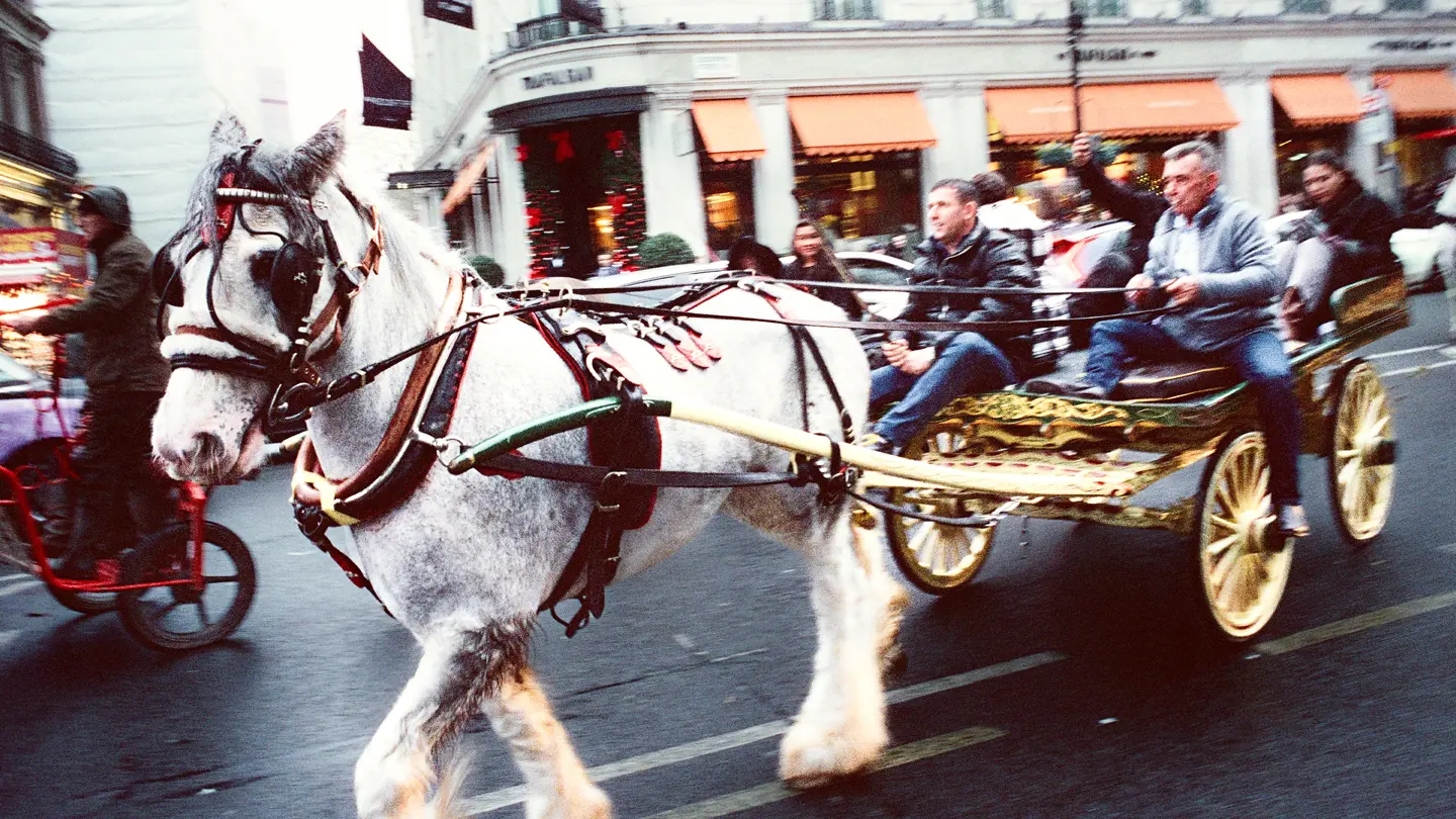 Colour photo of a horse drawn carriage being rode on a main road.