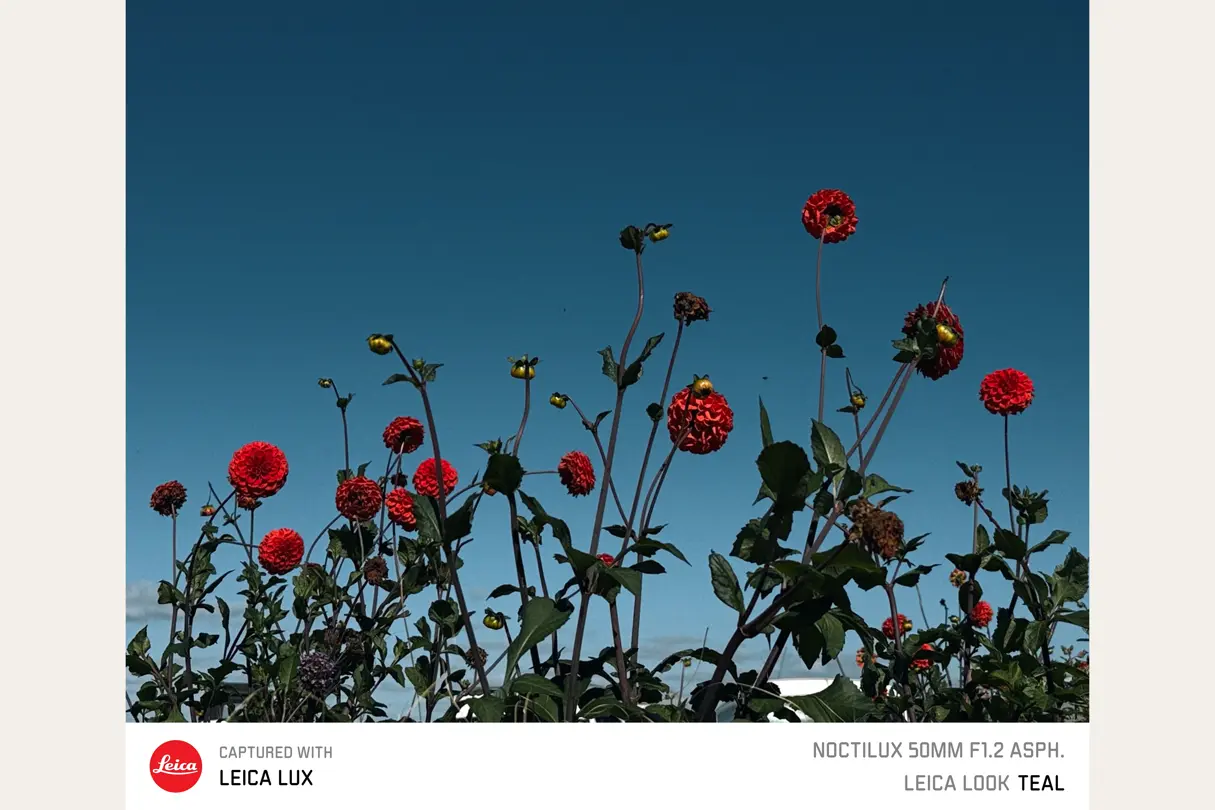 CapturedWithLeicaLux_9_LeicaLUXApp