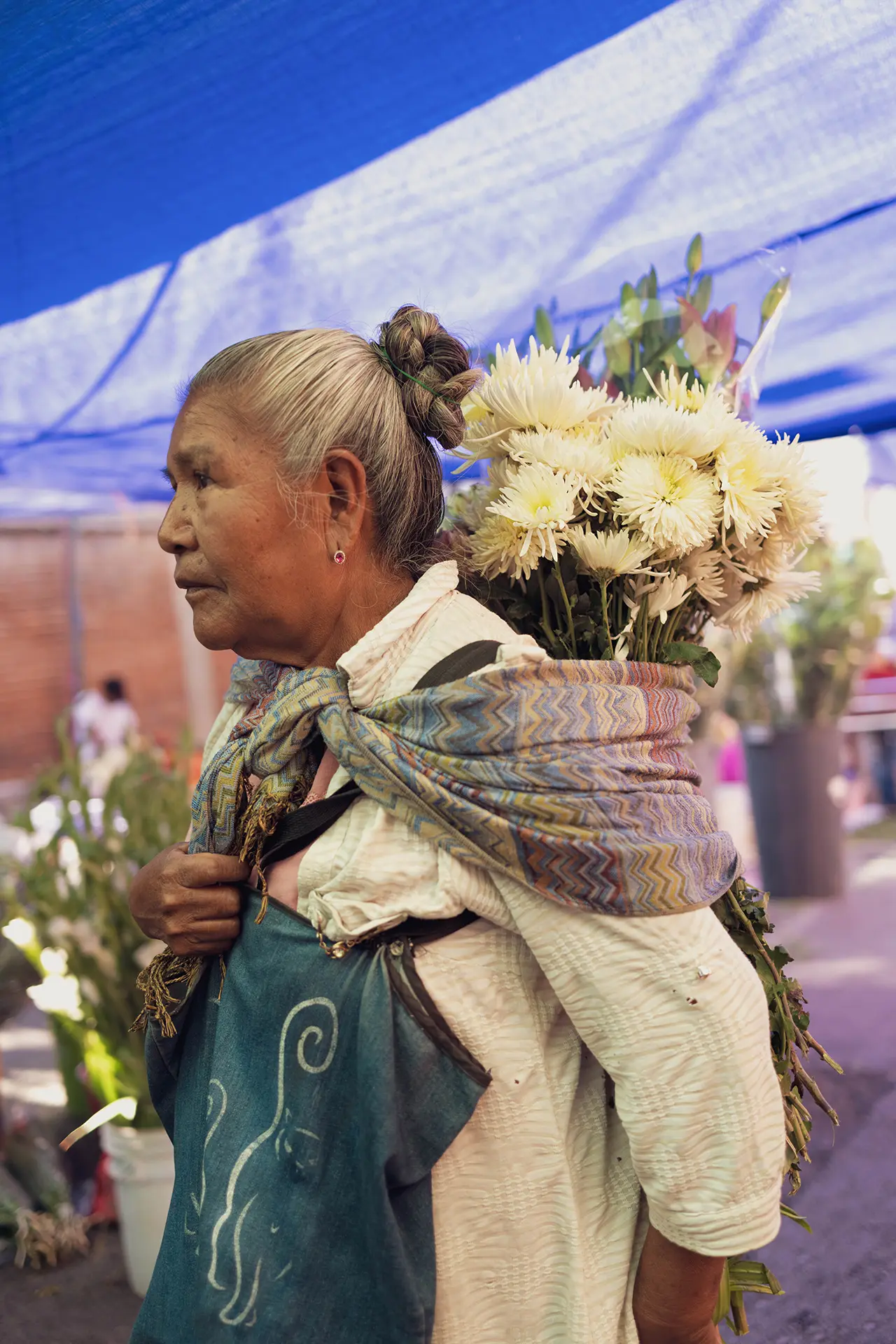 Older flower vendor carrying a large bundle of white chrysanthemums on her back at a flower market in Mexico.
