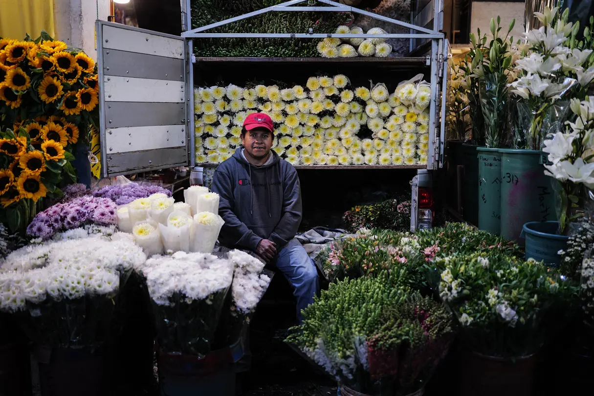 Flower seller seated beside a truck packed with white chrysanthemums, sunflowers, lilies and other fresh flowers at a market in Mexico.