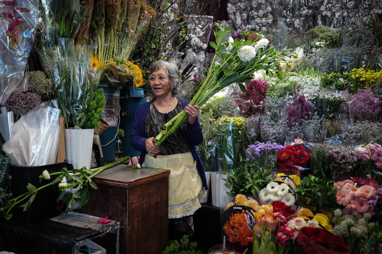 Female florist holding freshly cut white flowers inside a colorful flower stall filled with bouquets and seasonal blooms in Mexico.