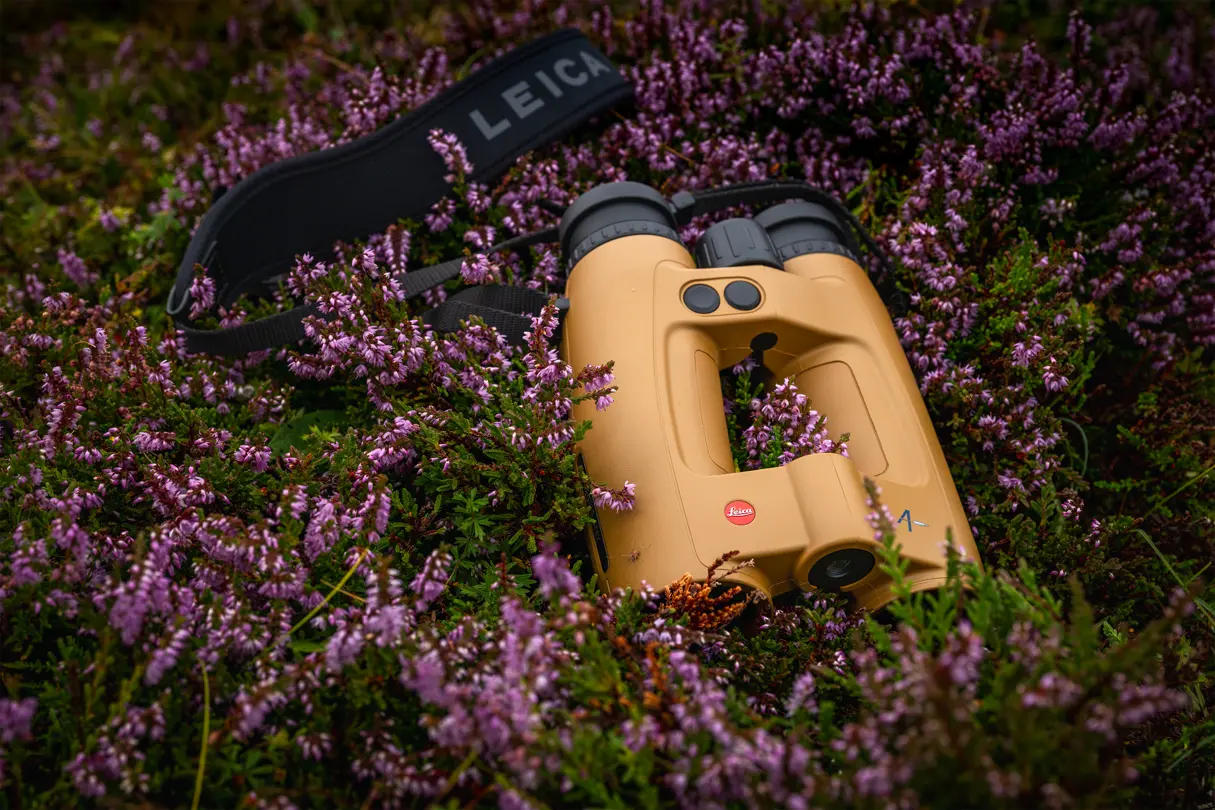 Leica Geovid Max lying in the grass amongst the little purple flowers.