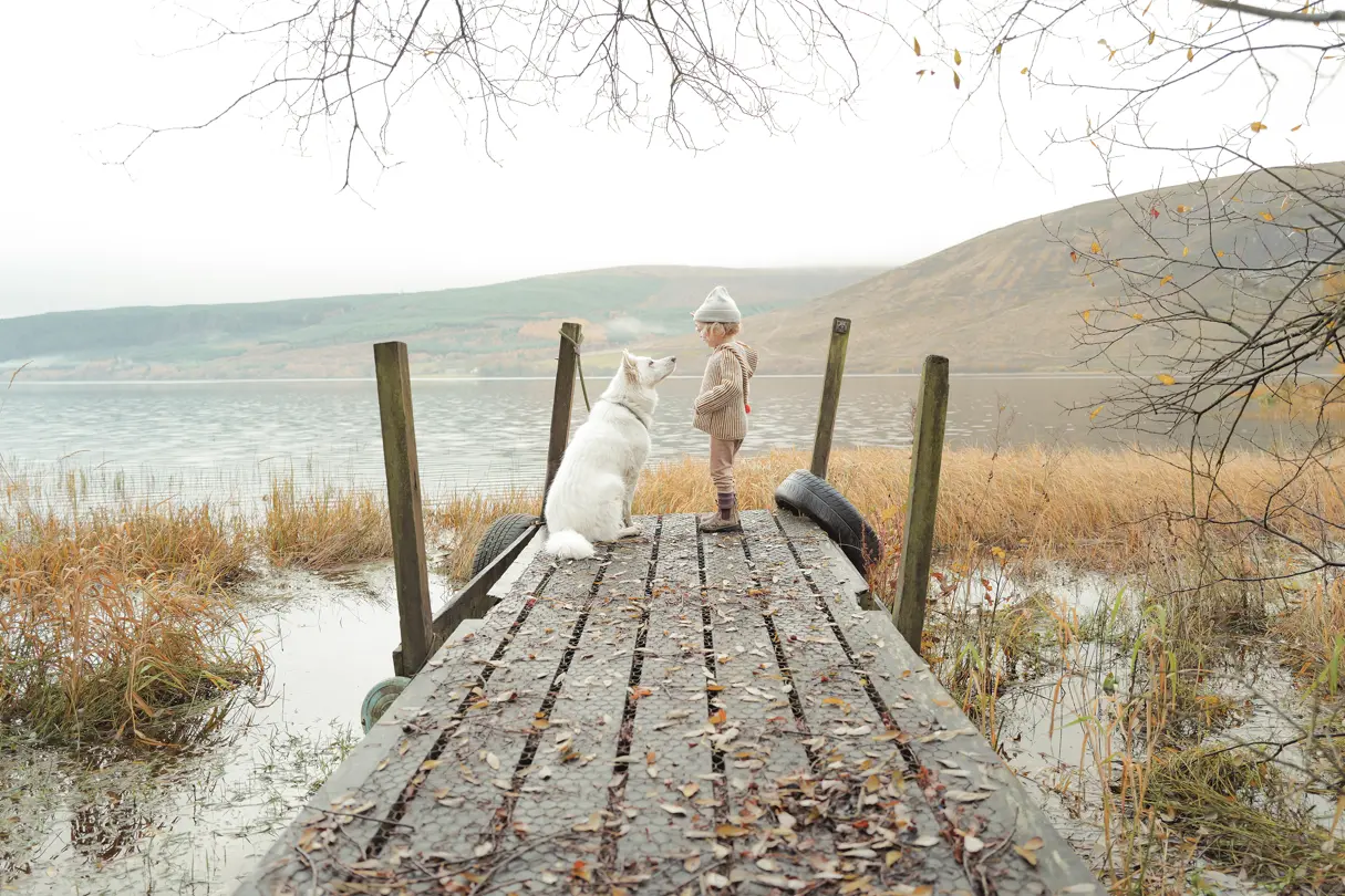 Child and white dog by a lake — Young child standing with a large white dog on a rustic lakeside jetty surrounded by autumn reeds and distant hills.