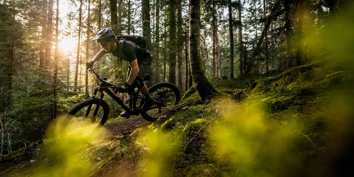 Man riding a mountain bike down a path in the woods on a sunny day.