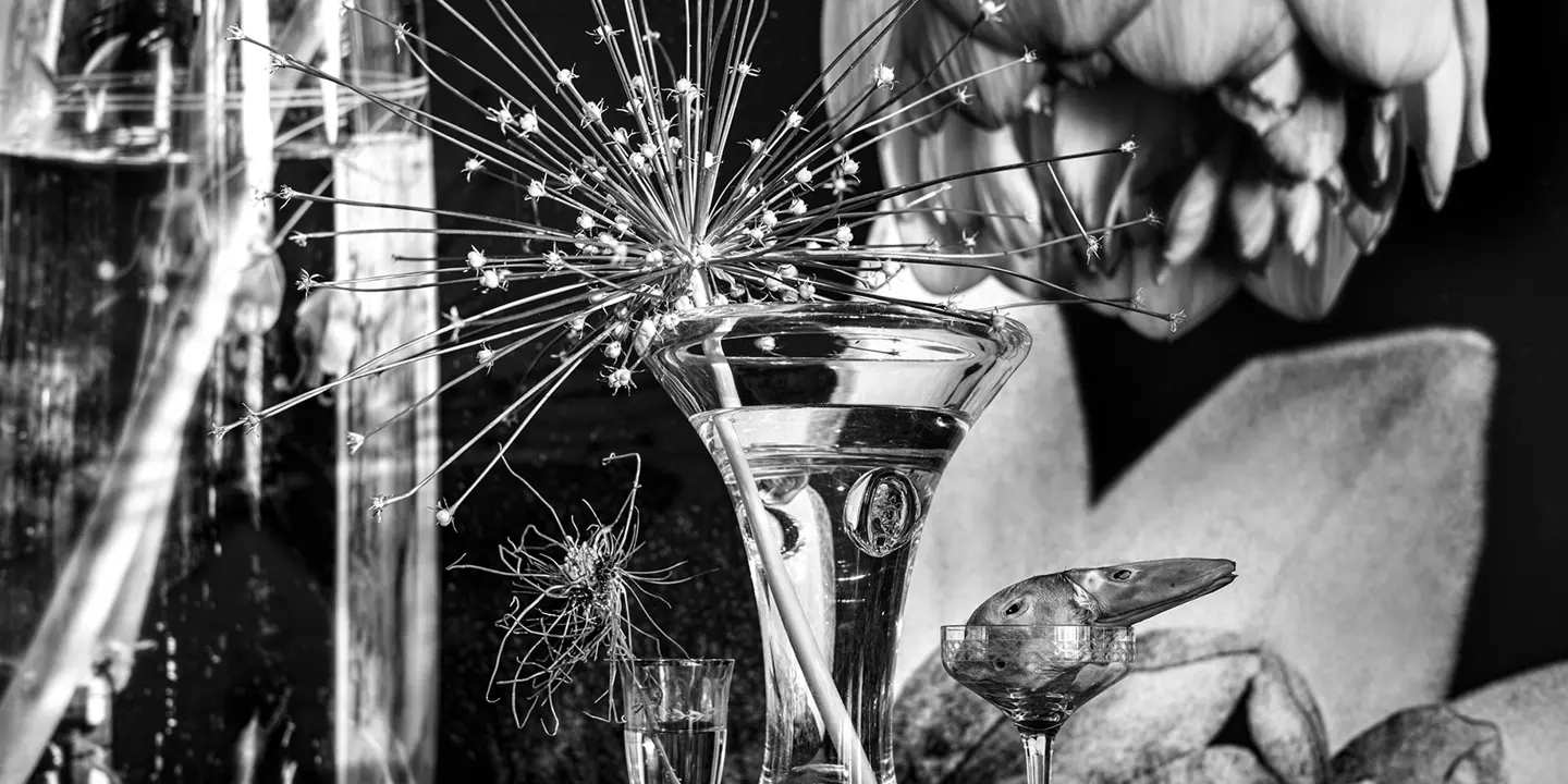 Still life, Leica gallery Stuttgart