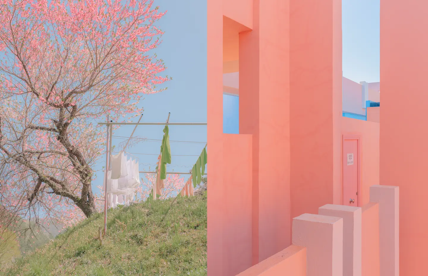 East and West by Teresa Freitas