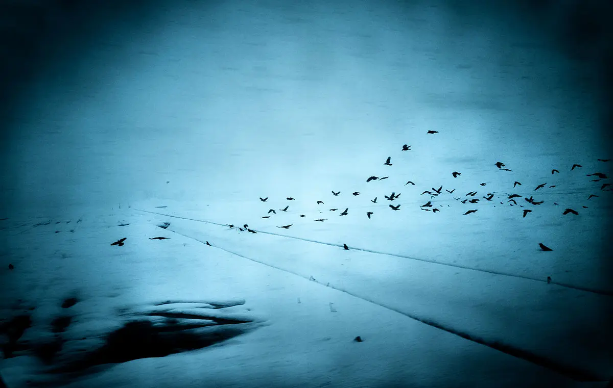 Into the silence by Yasuhiro Ogawa