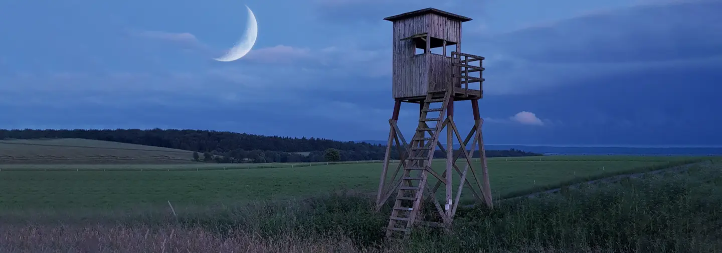 Die Nachtjagd mit Leica