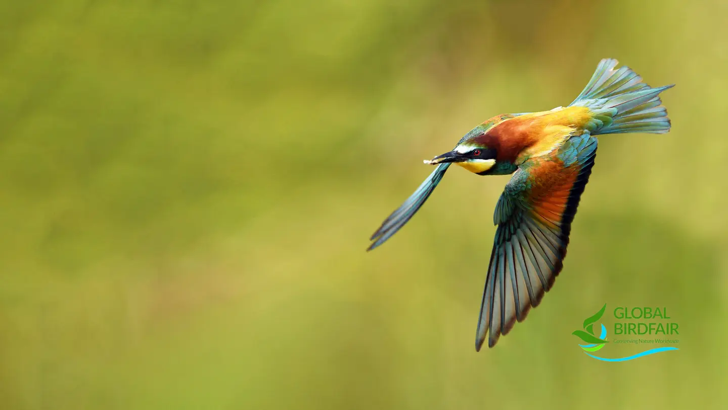 meet-us-live-at-birdfair-leica-sport-optics-stand-f4-in-the-falcon-marquee_hero_3840x2160_0.jpg