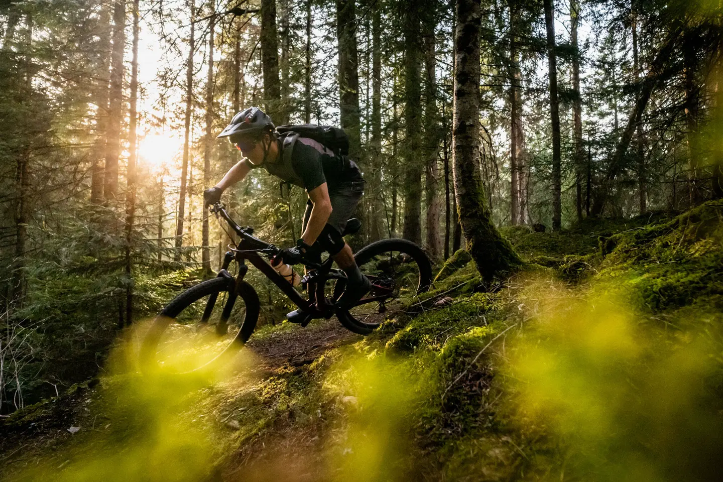 Man riding a mountain bike down a path in the woods on a sunny day.